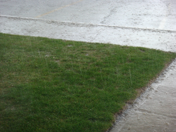 DSC06365.JPG
